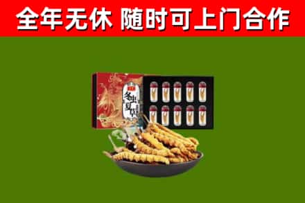 鹤壁烟酒回收冬虫夏草礼盒.jpg